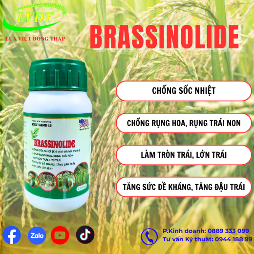 brassinolide.png