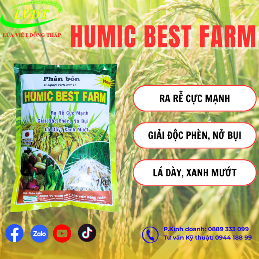 humic-best-farm-dang-vay-.png