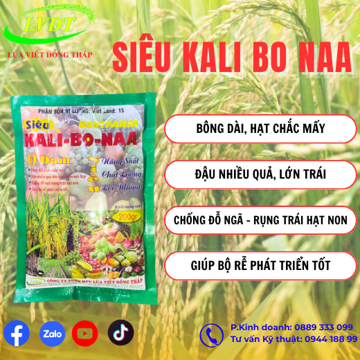 SIÊU KALI BO-NAA
